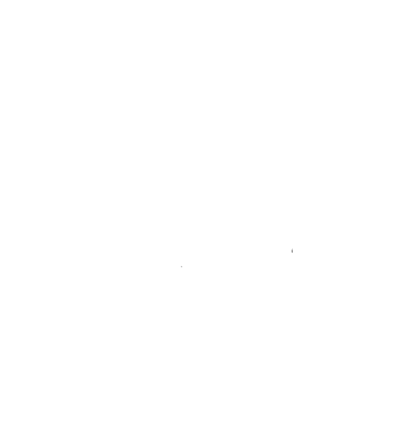 Bella Flor