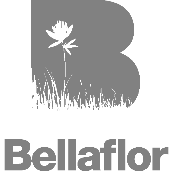 Bellaflor